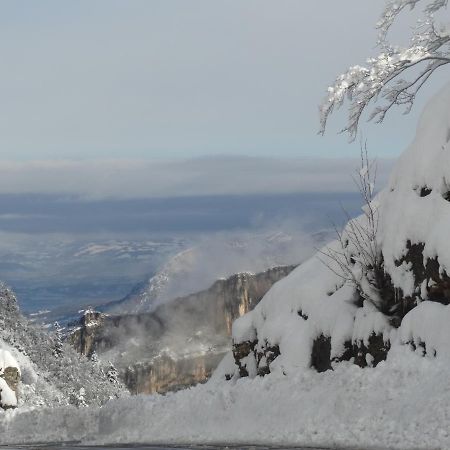Hotel Du Col De La Machine Сан-Жан-ан-Ройан Екстериор снимка