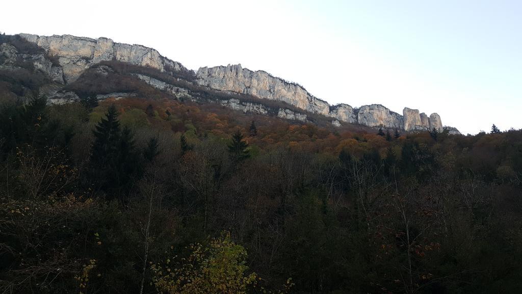 Hotel Du Col De La Machine Сан-Жан-ан-Ройан Екстериор снимка