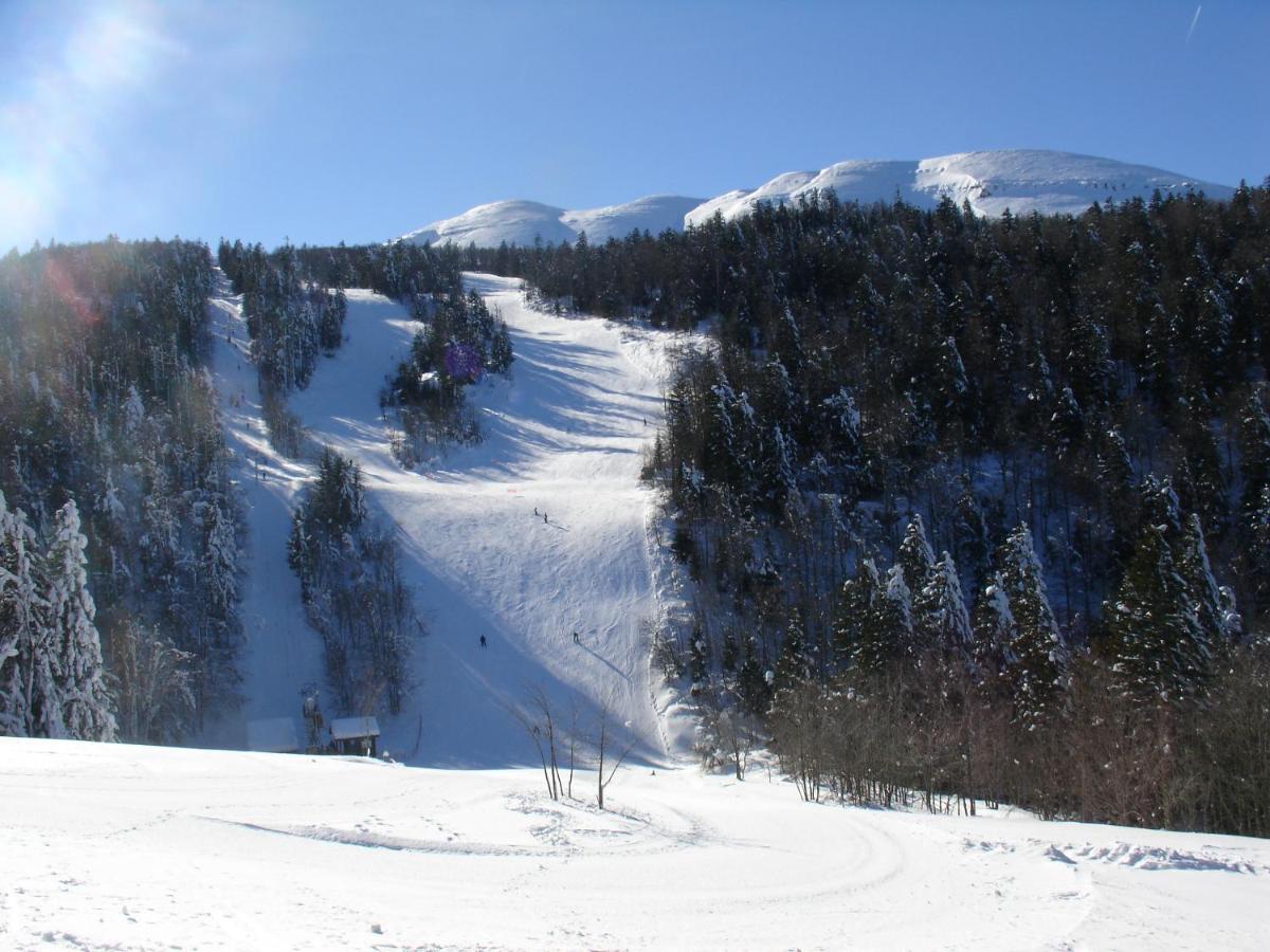 Hotel Du Col De La Machine Сан-Жан-ан-Ройан Екстериор снимка